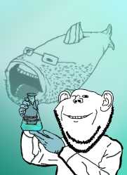 700 KB